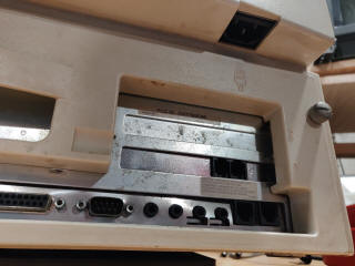 Back view showing power input