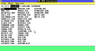 Windows 1.01 desktop
