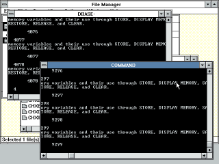 Windows 3.0 running two dBase instances