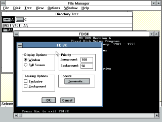 Windows 3.0 program settings