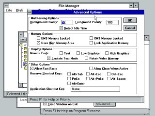 Windows 3.1 PIF editor advanced