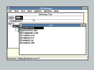 Windows 3.0 File View