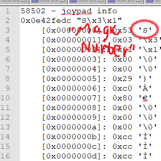 A dissected packet in notepad++