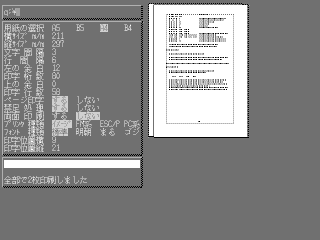 PRNOUT displaying two pages